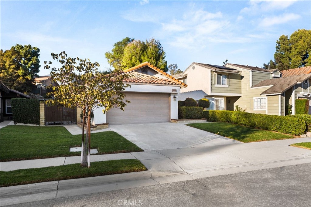 11650 Mount Miriah