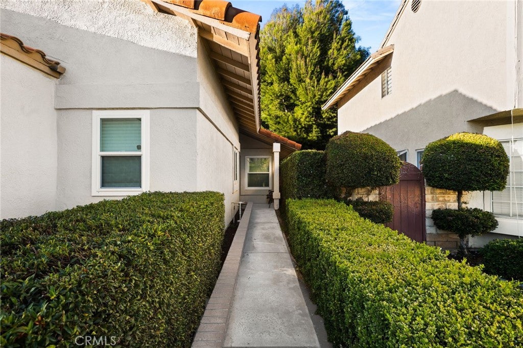 11650 Mount Miriah