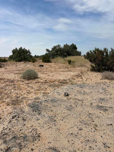 Photo of 3343 Sweet Road, Imperial, CA 92251 (MLS # 219146347DA)