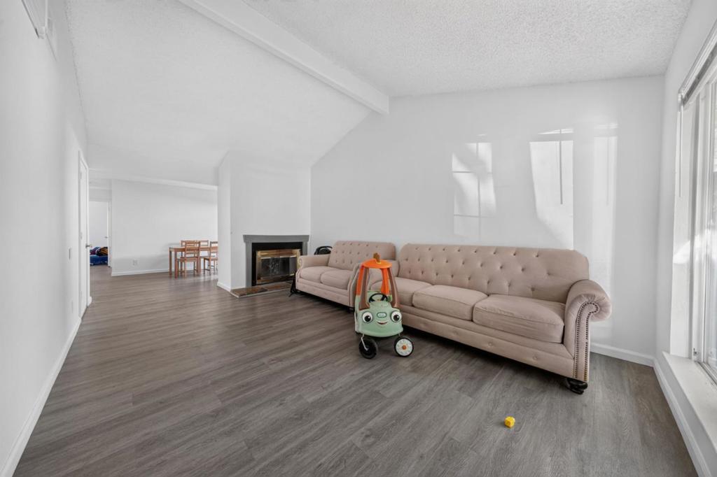 51175119 Shell Street