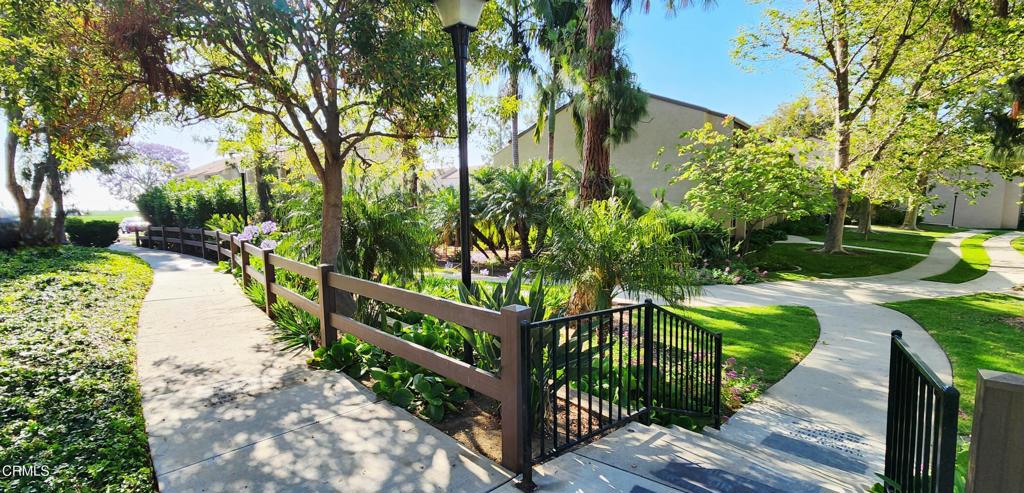 1118 Okapi Lane