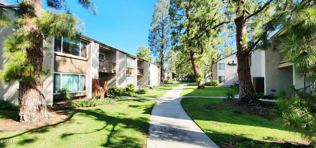 1118 Okapi Lane