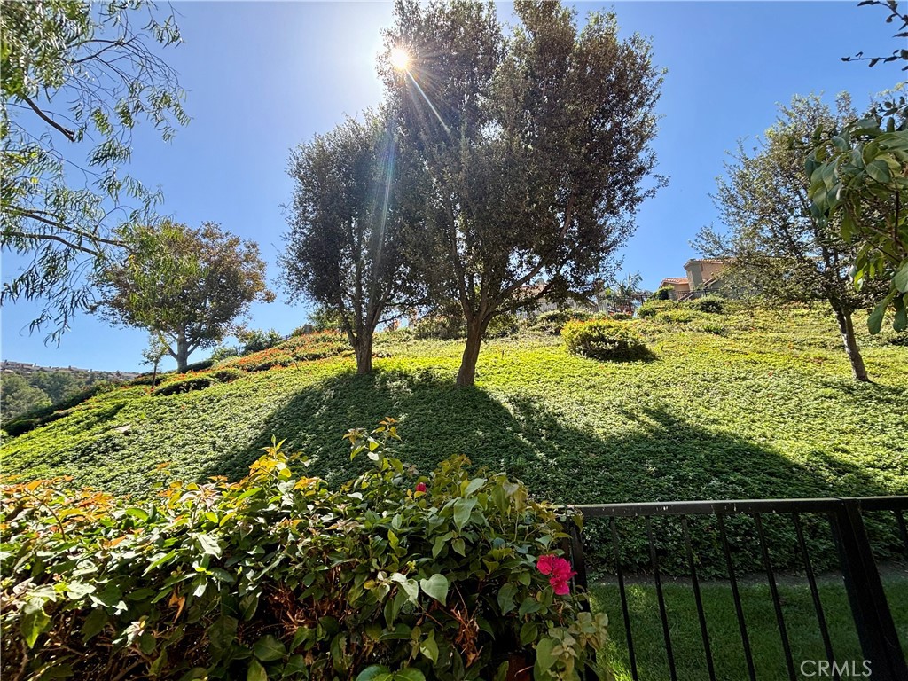 Other - Residential Lease