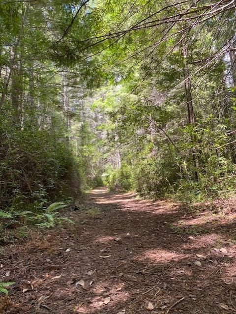 Photo of Piercy, CA 95587 (MLS # ML82042979)