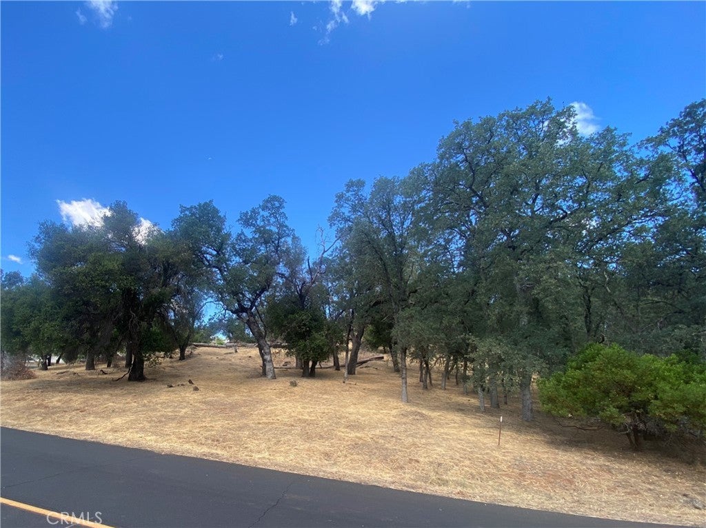 20393 Powder Horn