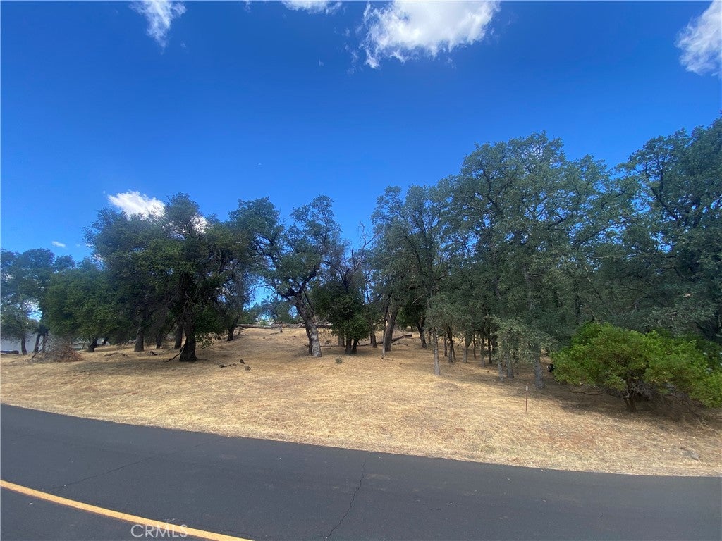 20393 Powder Horn