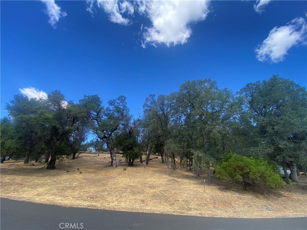 20393 Powder Horn