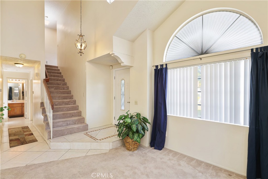 8055 Lemmerich Court