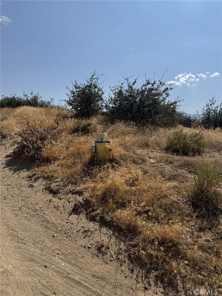 0 Mesquite