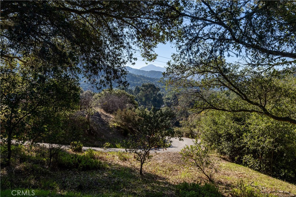 6202 Toro Creek Road