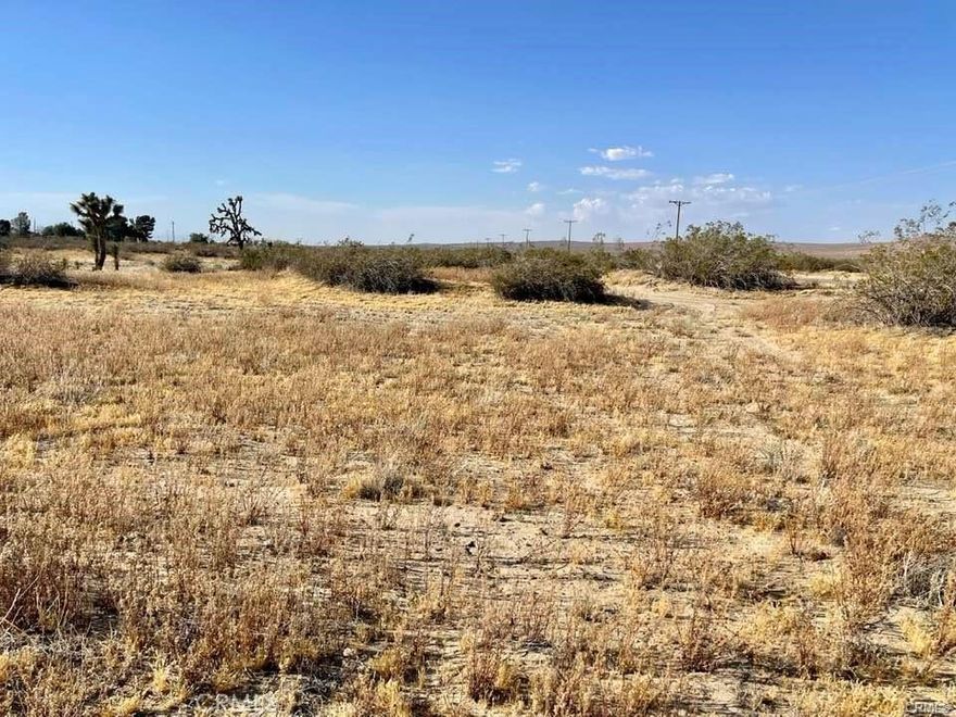 FOR SALE – 4.84 Acres in Lancaster, CA.  APN# 3362-006-009 & APN# 3362-006-010.  Discover a combined 4.84 acres of land in Lancaster, California! These two properties sit right off a paved street along a busy highway, offering easy access and great visibility.  Located only about 200 feet from the famous Club Ed Movie Set, you’ll feel like you’ve stepped into a classic film scene every time you drive by. While the set itself is closed to the public, you can enjoy the unique backdrop from your property.  This land offers plenty of space to ride your off-road toys, enjoy the desert landscape, or explore potential development opportunities. Utilities are nearby, adding convenience for future use.  Don’t miss this opportunity to own a piece of Lancaster land with character, location, and potential!