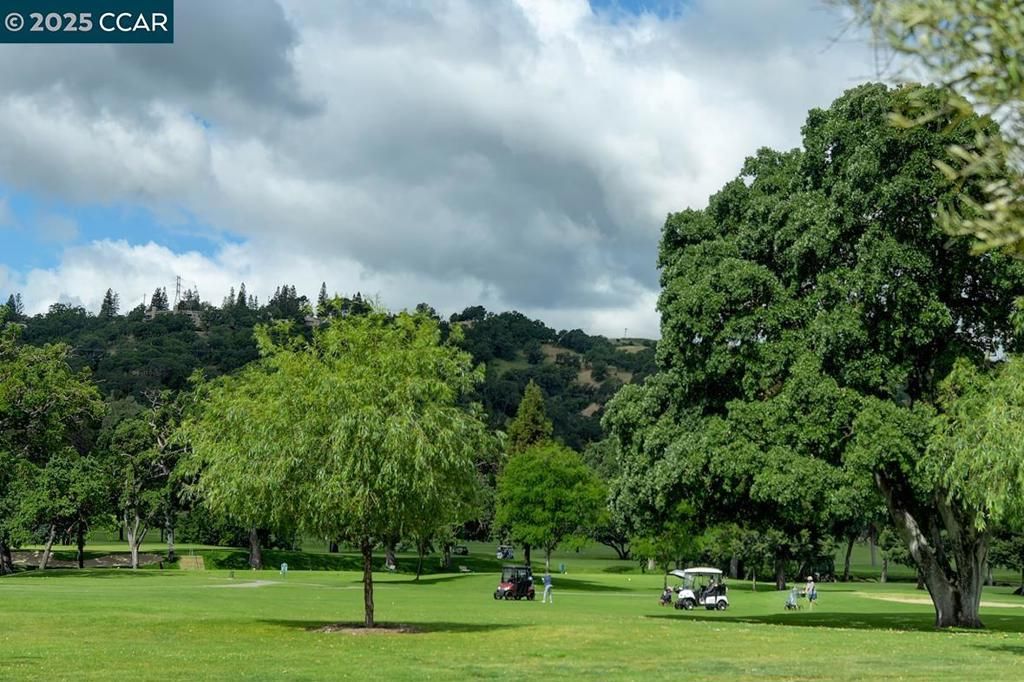 listing image 130721066061668725308