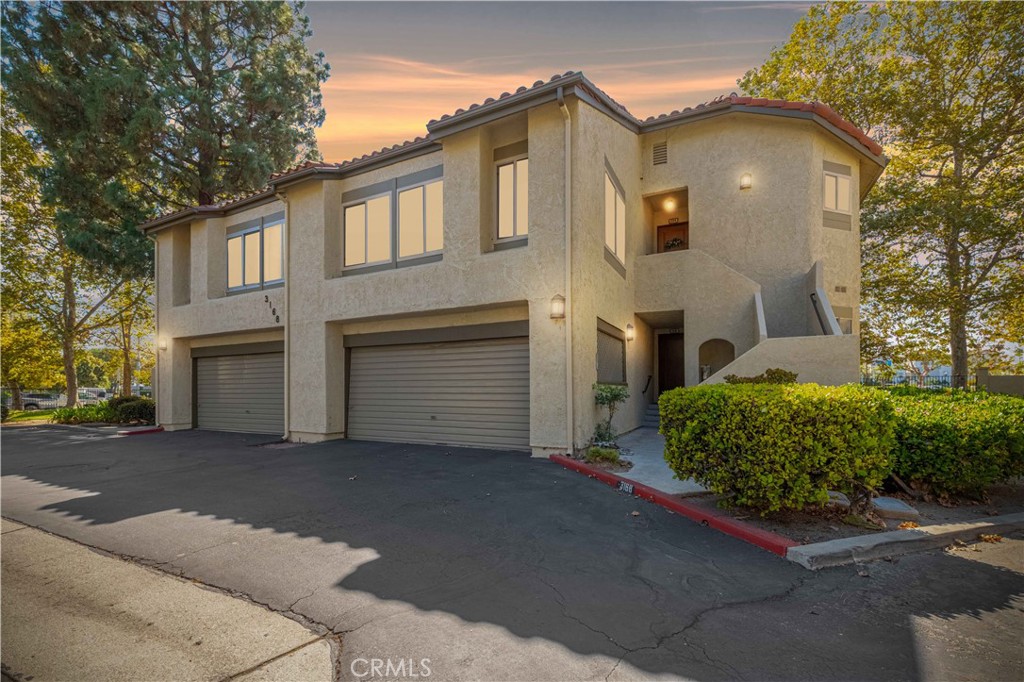 Sycamore Terrace (235) - Residential