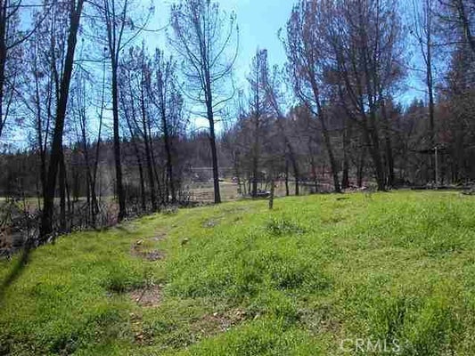 BUCHNER DR, BERRY CREEK, CA 95916 - Image 35edcf9edcfd3de6d6042e9e0b1771e1/2290307226