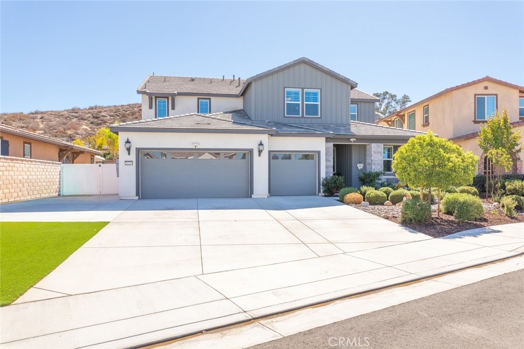 26219 Silver Birch