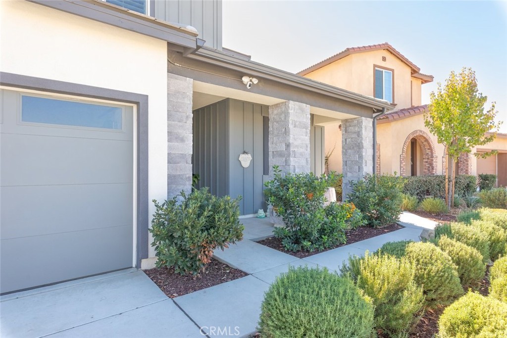 26219 Silver Birch