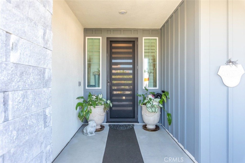 26219 Silver Birch