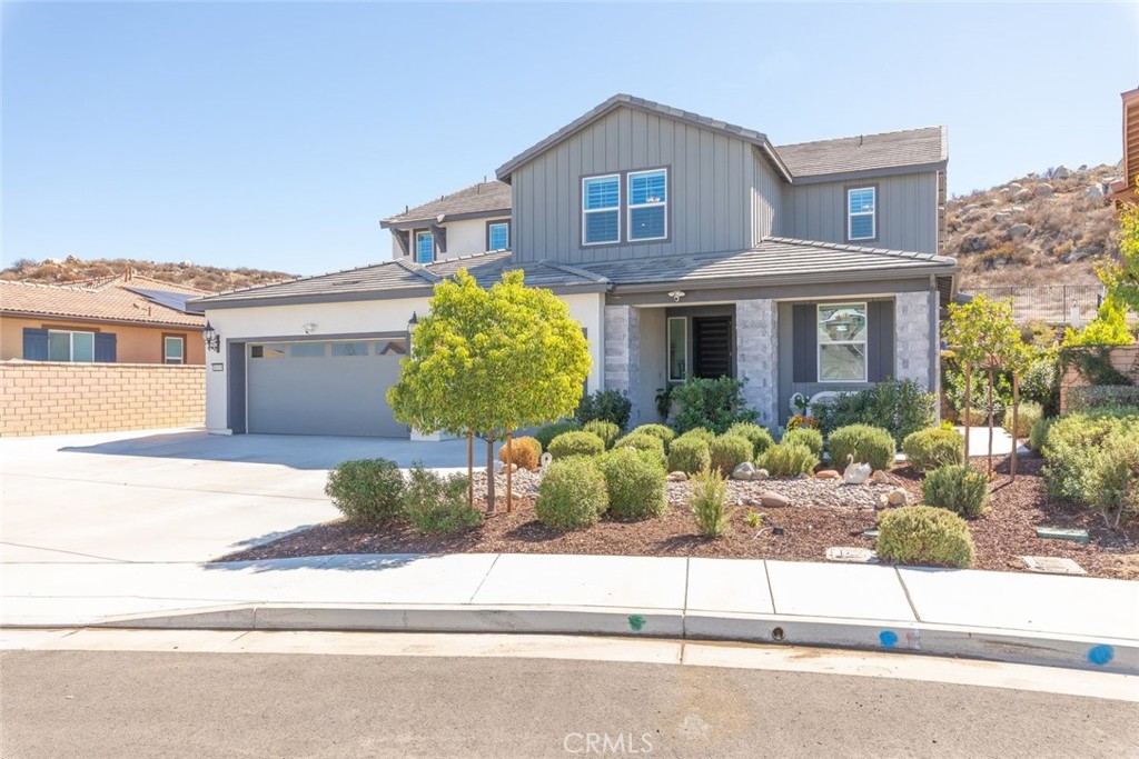26219 Silver Birch