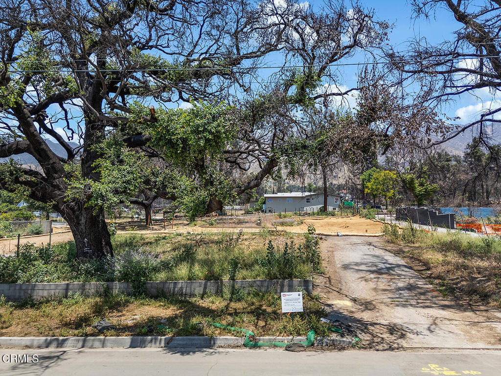 This large, southwest facing lot, welcomes you to create that home you have been dreaming about. Fronted by a resilient 150 year old Coast Live Oak tree, this 14,881 square foot lot, above Altadena Drive (between Marengo and Fair Oaks), once held the long-time home for a family who planned to never leave (note the one photo of this family home). This is a rare opportunity for you to create your own new memories in your custom built home. The lot has already been cleared, both Phase 1 and Phase 2 debris removal was professionally handled by the Army Corps of Engineers.