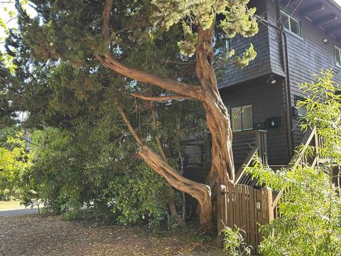 Photo of 2638 Warring St St #A, Berkeley, CA 94704 (MLS # 41133469)