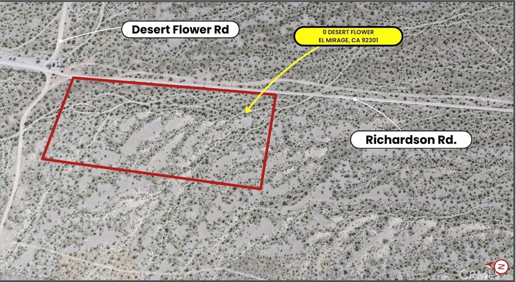 0 Desert Flower