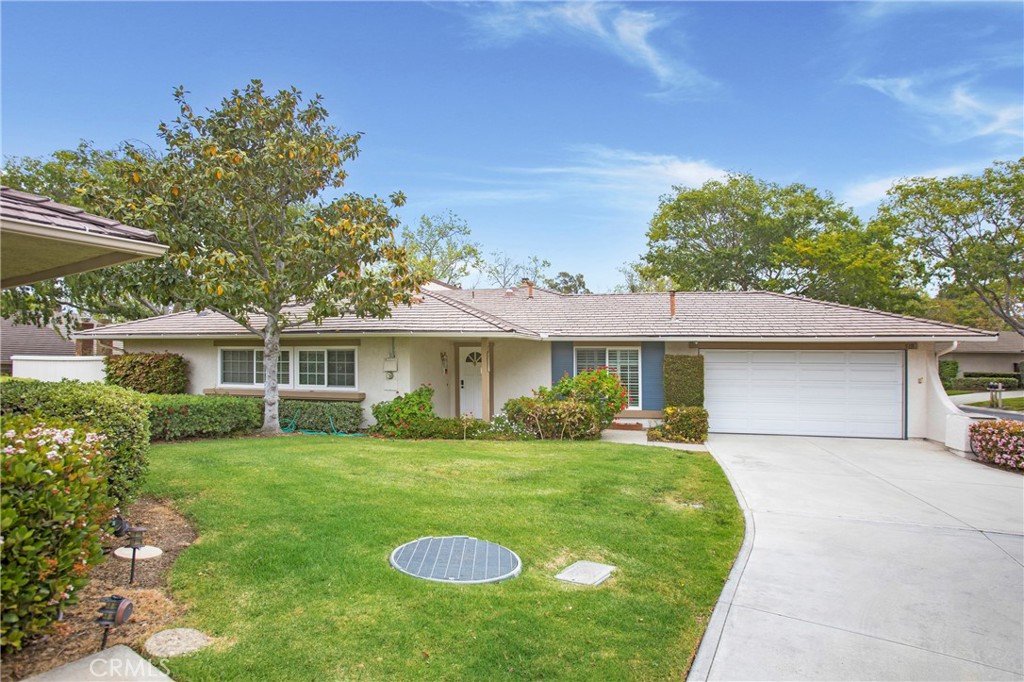 5111 Alder