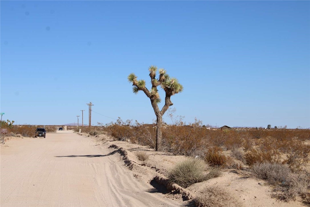 Nestled in Joshua Tree, this 2.33-acre parcel offers an incredible opportunity to create your dream desert retreat. Zoned residential, the land is perfect for your home! Underground telephone is conveniently at the lot line with power one lot away, and city water at the eastern boundary. Just minutes from Joshua Tree National Park, enjoy stunning desert views, starlit skies, and peaceful surroundings. Your desert escape awaits!
