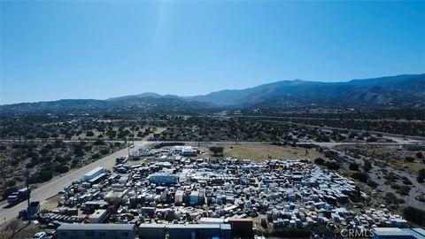 9882 Buckwheat Road Phelan CA 92371