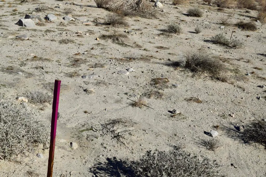 Thousand Palms, California 92276, United States, ,Land,Active,254729