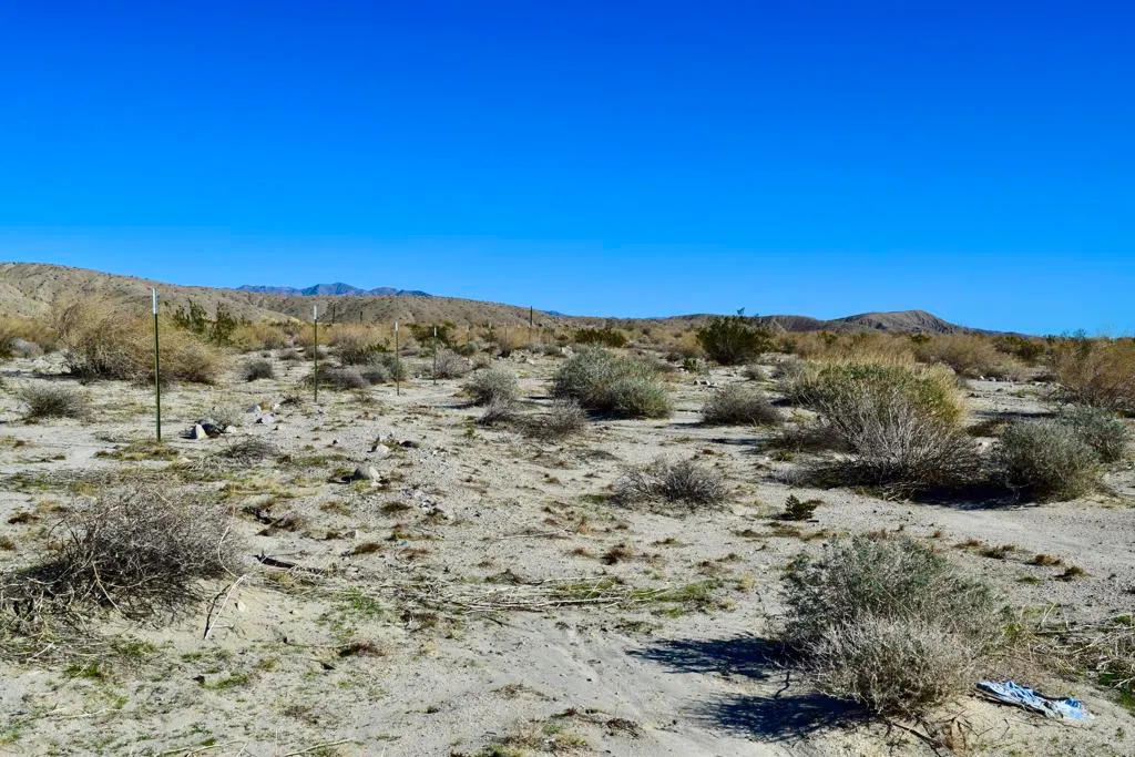 Thousand Palms, California 92276, United States, ,Land,Active,254729