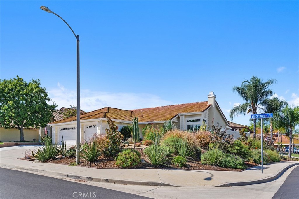 25382 Blackthorne Drive