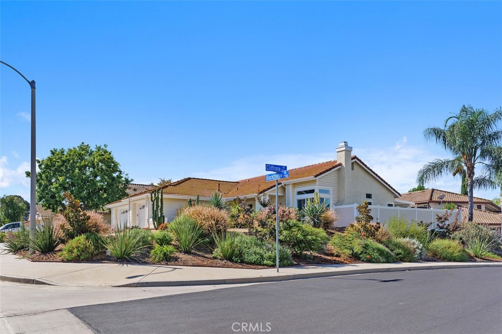 25382 Blackthorne Drive