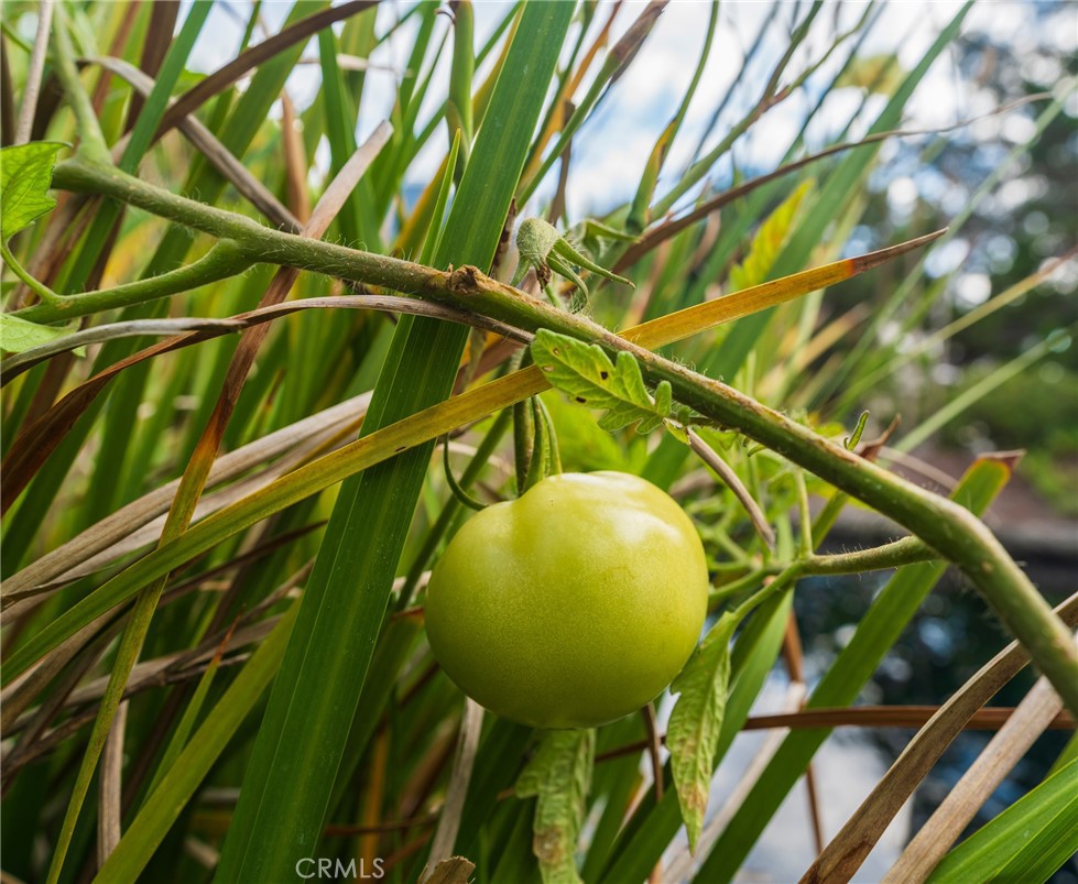Seabridge Townhomes (SBTH) - Residential