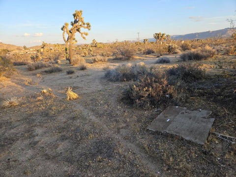 Photo of 20 Yucca Mesa Road, Yucca Valley, CA 92284 (MLS # 219153288PS)