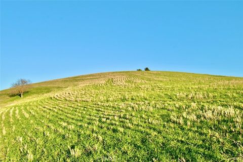 Tiny photo for 3780 S Gillis Canyon, Shandon, CA 93461 (MLS # NS25256733)