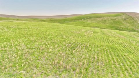 Tiny photo for 3780 S Gillis Canyon, Shandon, CA 93461 (MLS # NS25256733)