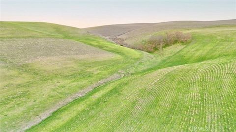 Tiny photo for 3780 S Gillis Canyon, Shandon, CA 93461 (MLS # NS25256733)