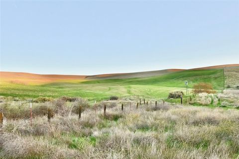 Tiny photo for 3780 S Gillis Canyon, Shandon, CA 93461 (MLS # NS25256733)