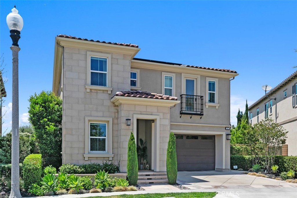 11 Juniper
