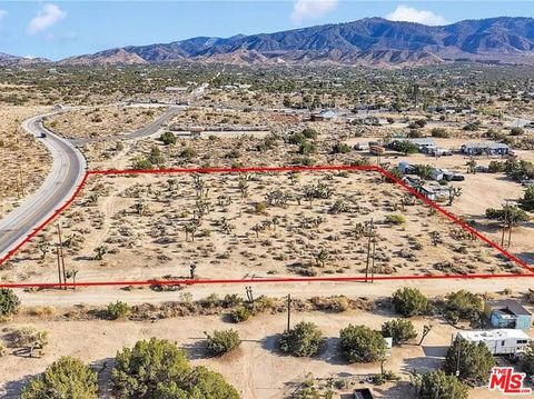 Photo of 875 Locust Road, Pinon Hills, CA 92372 (MLS # 26641561)