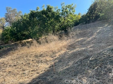 Photo of 0 Palomar Drive, La Habra Heights, CA 90631 (MLS # DW26165756)