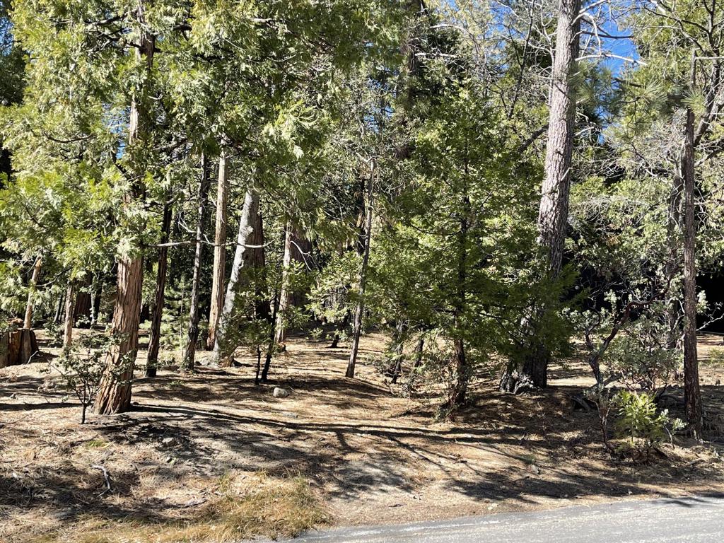 Not Applicable-1 - Land