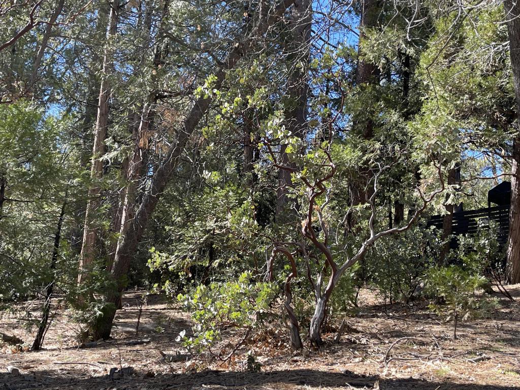 Not Applicable-1 - Land