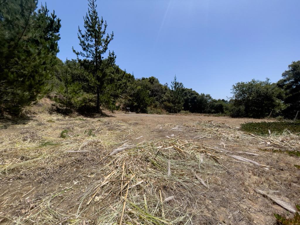 Welcome to 58 Desmond Road, Salinas, CA Scenic 5-acre wooded parcel on a quiet country road, featuring a large sunny and private building pad, strong-producing well, and space for horses or small livestock. Zoned LDR/2.5 CZ with PG&E electricity at the south property line. Borders open lands of the Elkhorn Slough Foundation, offering privacy and natural views. Enjoy peaceful rural living just minutes from Castroville, Moss Landing, and Manzanita Parks sports and recreation facilities. Great opportunity to build your dream home in a serene, convenient location.
