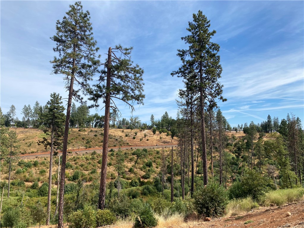 9.45-Acre Parcel with Breathtaking Canyon Frontage in Paradise, CA
Discover the perfect canvas for your dream home or private compound on this expansive 9.45-acre parcel in the heart of Paradise. Nestled along dry creek canyon, this property offers sweeping views that showcase the beauty of Northern California’s natural landscape.
Whether you envision a custom estate, a serene retreat, or a personal compound, this property delivers the space and setting to bring your vision to life. Conveniently located just minutes from Lake Oroville for world-class boating, fishing, and outdoor recreation, and offering an easy commute to both Chico and Oroville, you’ll enjoy the balance of privacy and accessibility.
With its canyon frontage, stunning vistas, and generous acreage, this parcel is truly a rare opportunity to create something special in Paradise.