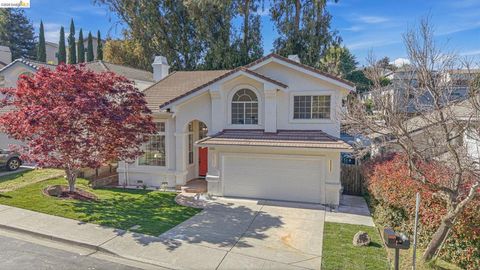 Photo of 2392 Austin Ct Ct, Castro Valley, CA 94546 (MLS # 41127759)