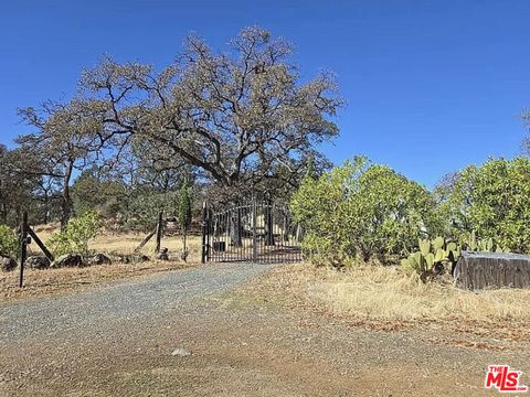 Photo of 12240 Honey Mushroom Lane, Smartsville, CA 95977 (MLS # 26634883)