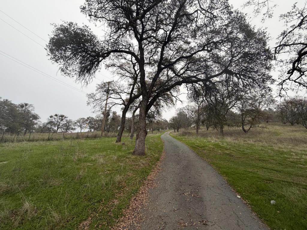 2461 Quail Oaks Road
