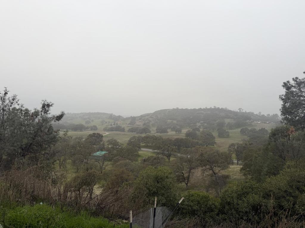 2461 Quail Oaks Road
