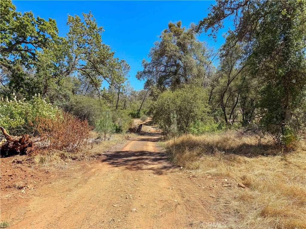 3631 Guadalupe Creek